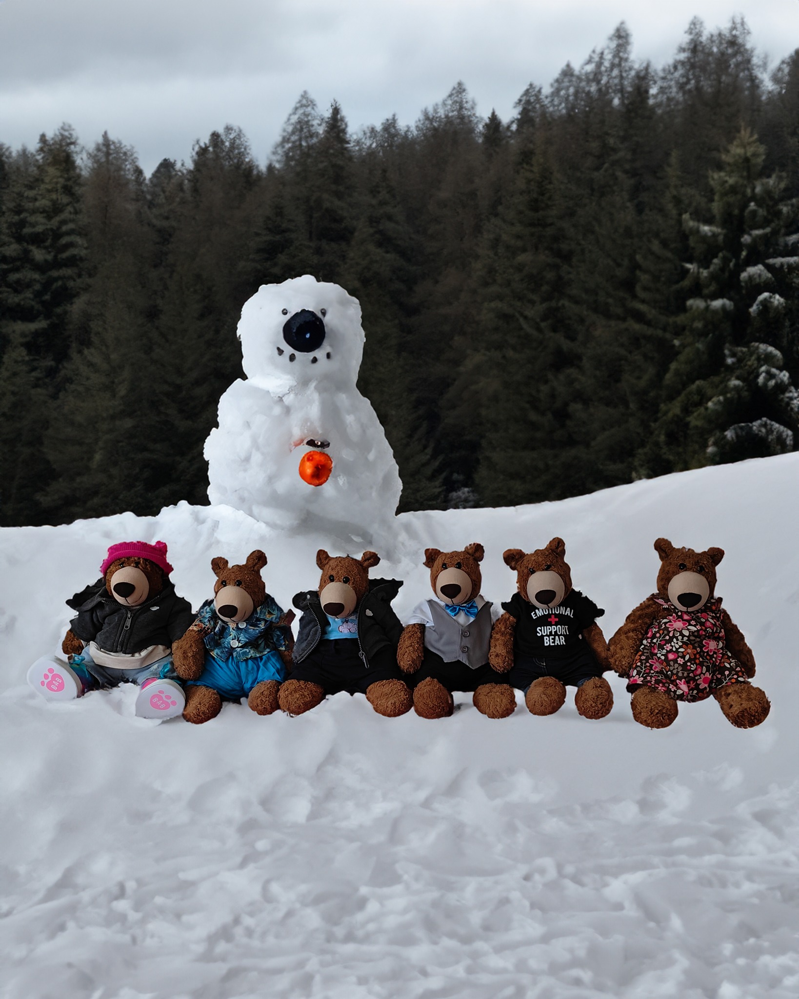 Schneebär