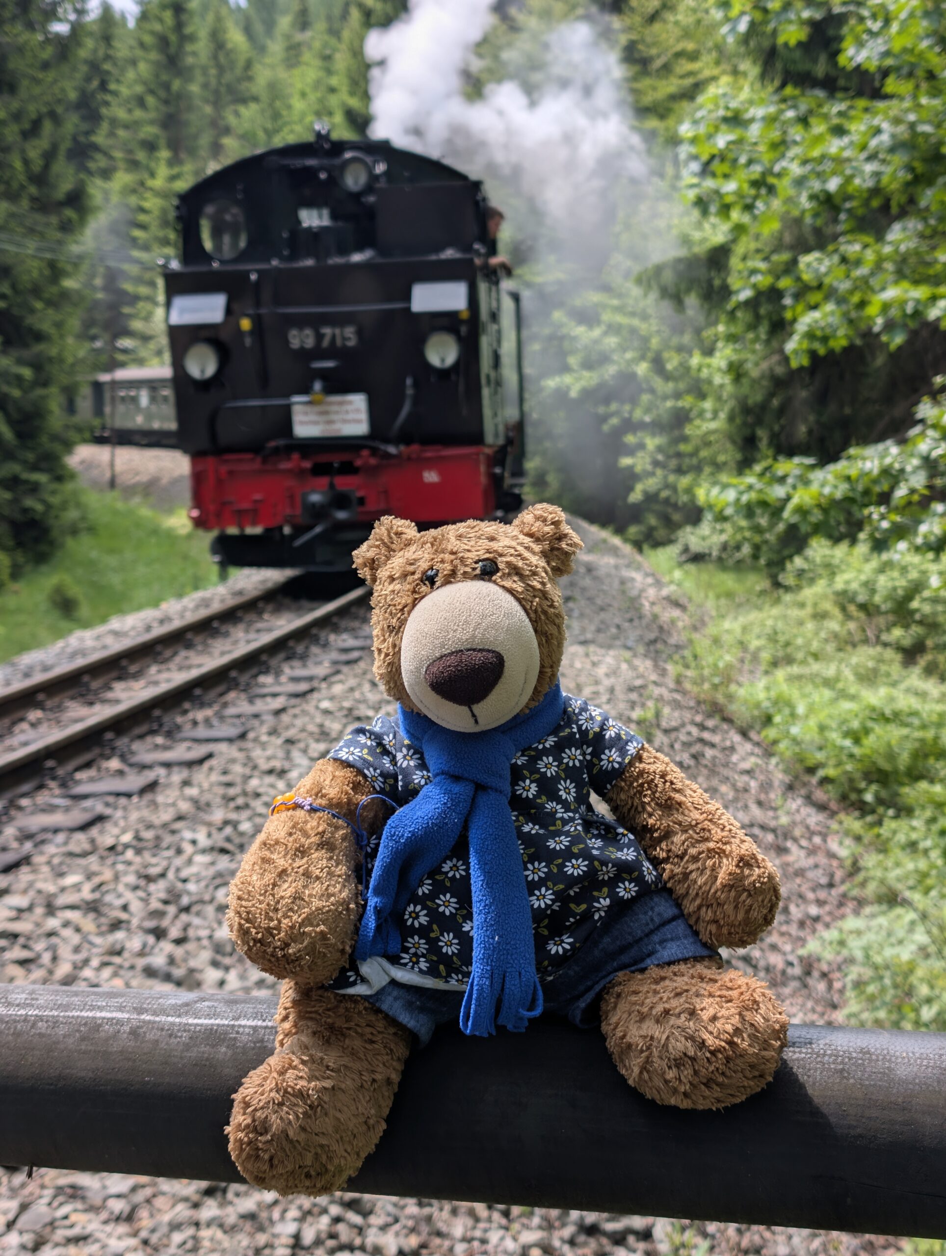 Preßnitztalbahn – Pfingsten im Erzgebirge! 🐻🚂